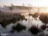 Natuurplaatjes 2019